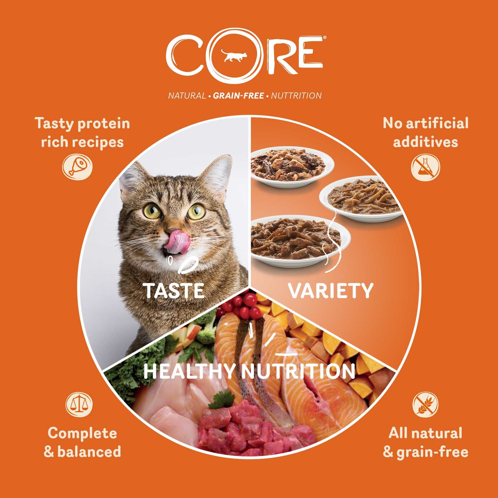 Wellness CORE Tender Cuts with Tuna in Savoury Gravy - 85g