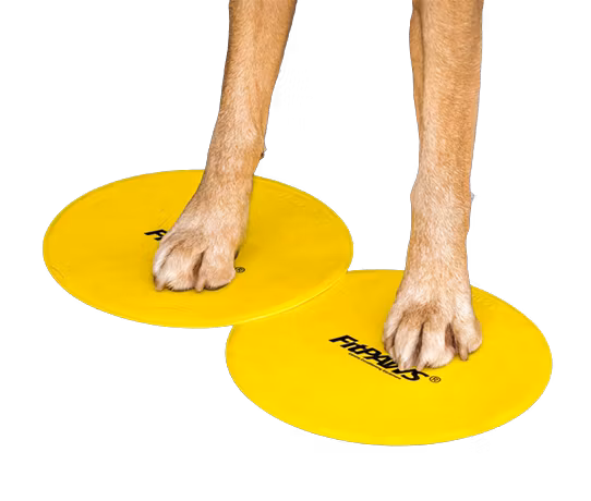 FitPAWS Targets/Targetplattor 4 st - 25 cm - gul & blå