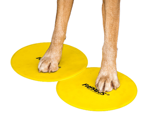 FitPAWS Targets/Targetplattor 4 st - 25 cm - gul & blå