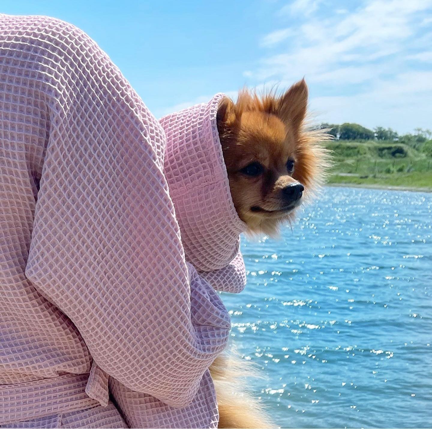 Benjamin Doris-Oversize Hundbadrock - Lavendelrosa