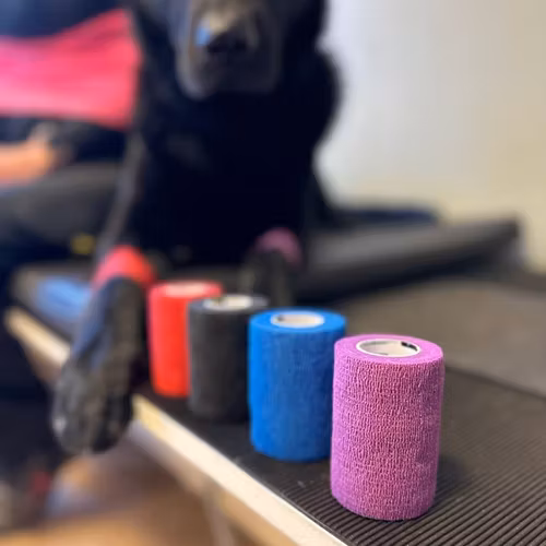 Bandage ”Vet. Quick Rip” 7,5 cm. Blandade färger