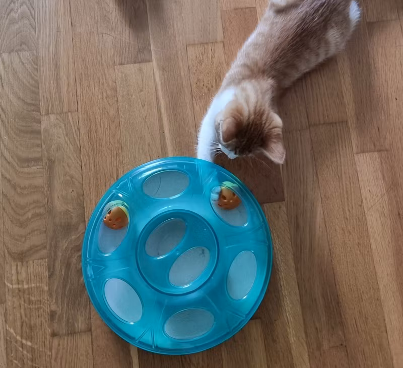 Geoplast Ufo, Aktiveringsleksak Katt, med två bollar, 25*8 cm.