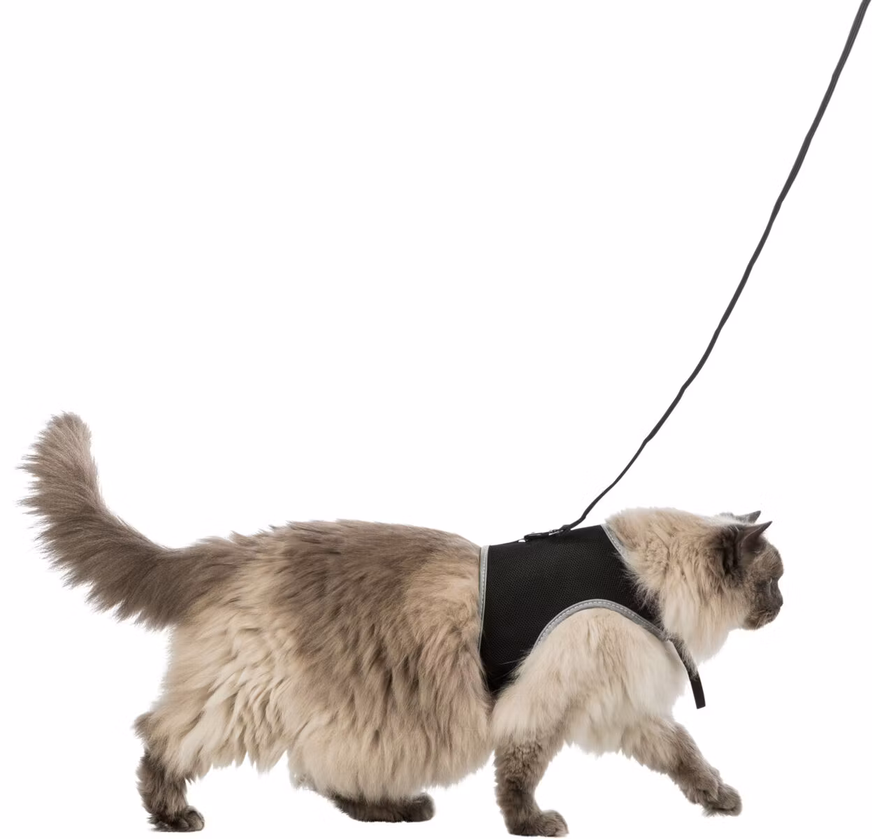 Kattsele mjuk med koppel XXL, 36-54cm, 1,20 m, svart