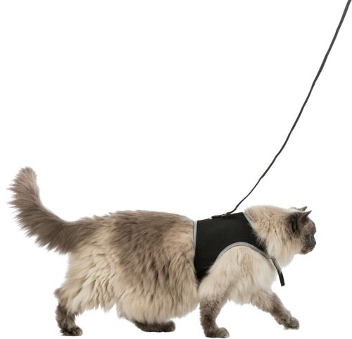 Kattsele mjuk med koppel XXL, 36-54cm, 1,20 m, svart