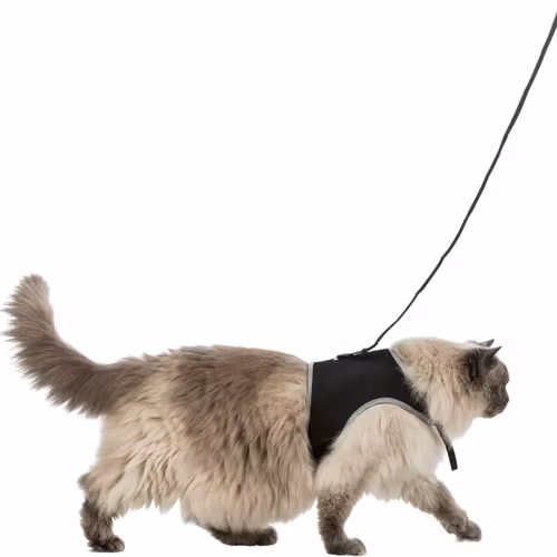Kattsele mjuk med koppel XXL, 36-54cm, 1,20 m, svart