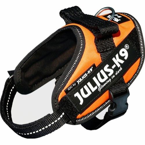 Julius-K9® IDC sele, Mini-Mini, UV Orange 40-53 cm, ca 4-7 kg