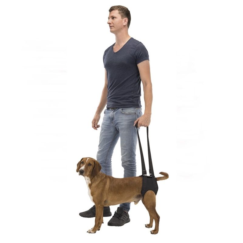 Promenadhjälp, svart