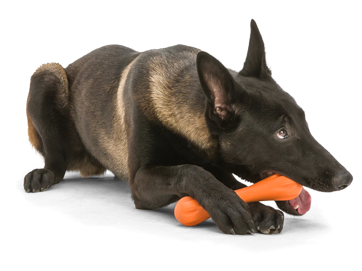 West Paw Hurley® large 21 cm Zogoflex