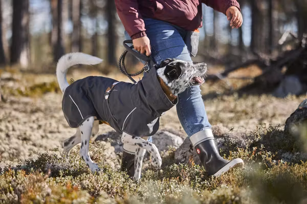 Hurtta Rainwear Mudventure Coat ECO Hundjacka Stl. 25 - 65 cm Blueberry