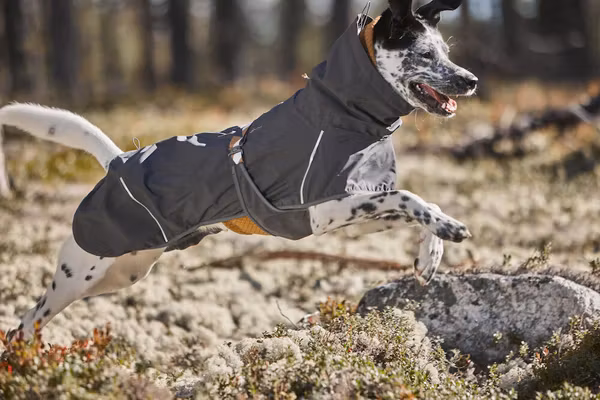 Hurtta Rainwear Mudventure Coat ECO Hundjacka Stl. 25 - 65 cm Blueberry