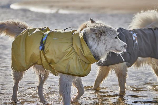 Hurtta Rainwear Mudventure Reflective ECO Hundjacka Stl. 25 - 65 cm Turmeric