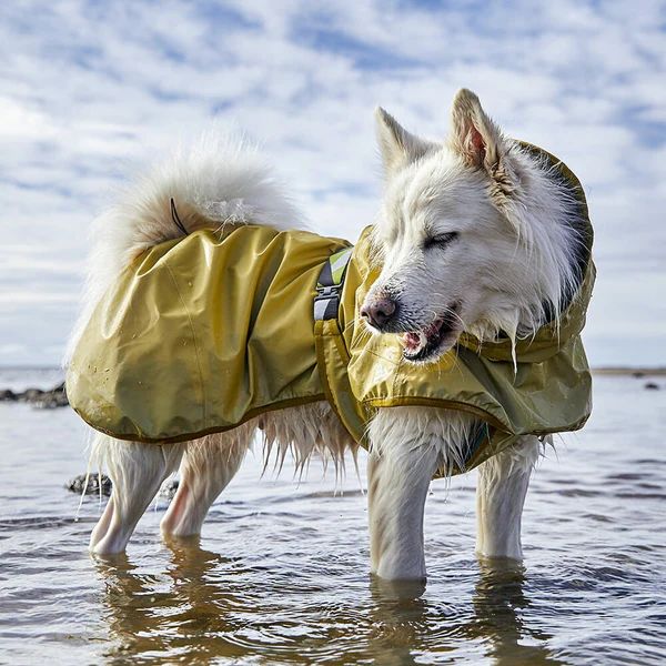Hurtta Rainwear Mudventure Reflective ECO Hundjacka Stl. 25 - 65 cm Turmeric