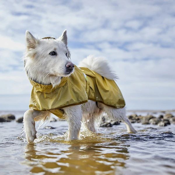 Hurtta Rainwear Mudventure Reflective ECO Hundjacka Stl. 25 - 65 cm Turmeric