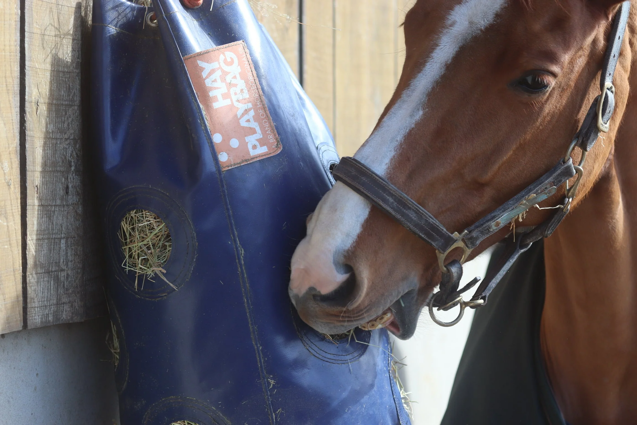 GG Equine HayPlay Slow-feed Bags