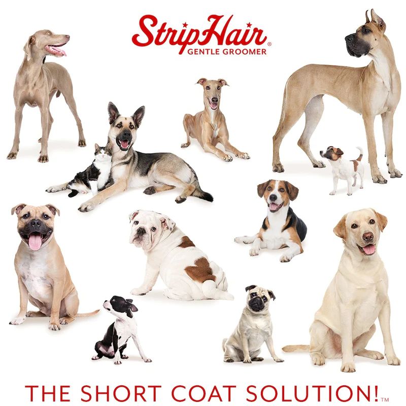 StripHair Gentle Groomer for Pets