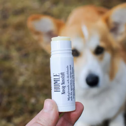 HUMLE Nosig nosstift 14 ml - Nossalva för torr och sårig nos hos hund