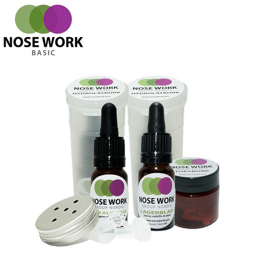 Nose Work Mellankit Nosework