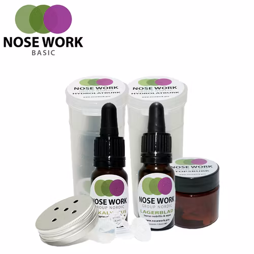 Nose Work Mellankit Nosework