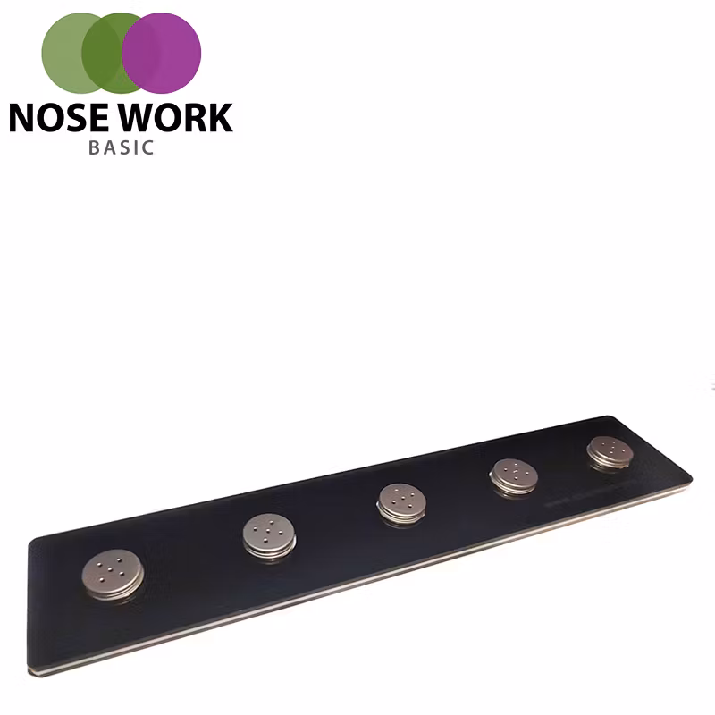 Nose Work Urvalsbana / Sökplattform BASIC Nosework