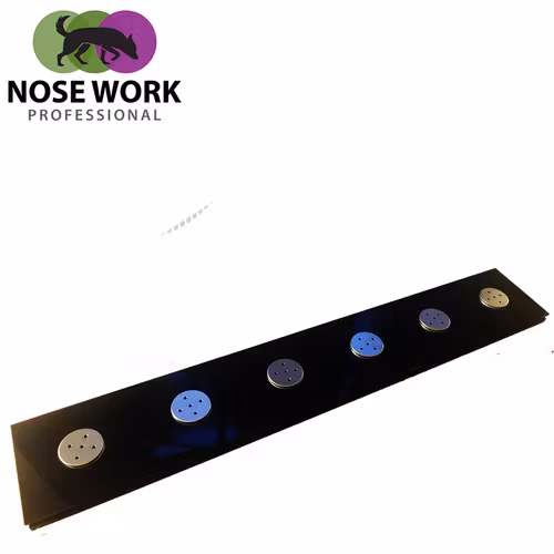 Nose Work Urvalsbana / Sökplattform LIGHT Nosework