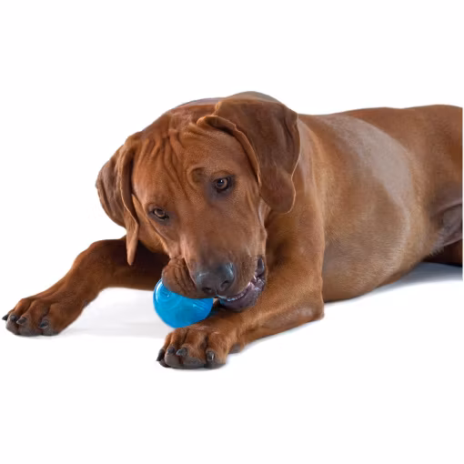 Petstages Orka Tennis Ball 7 cm- lika rolig på land som i vatten