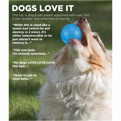 Petstages Orka Tennis Ball 7 cm- lika rolig på land som i vatten