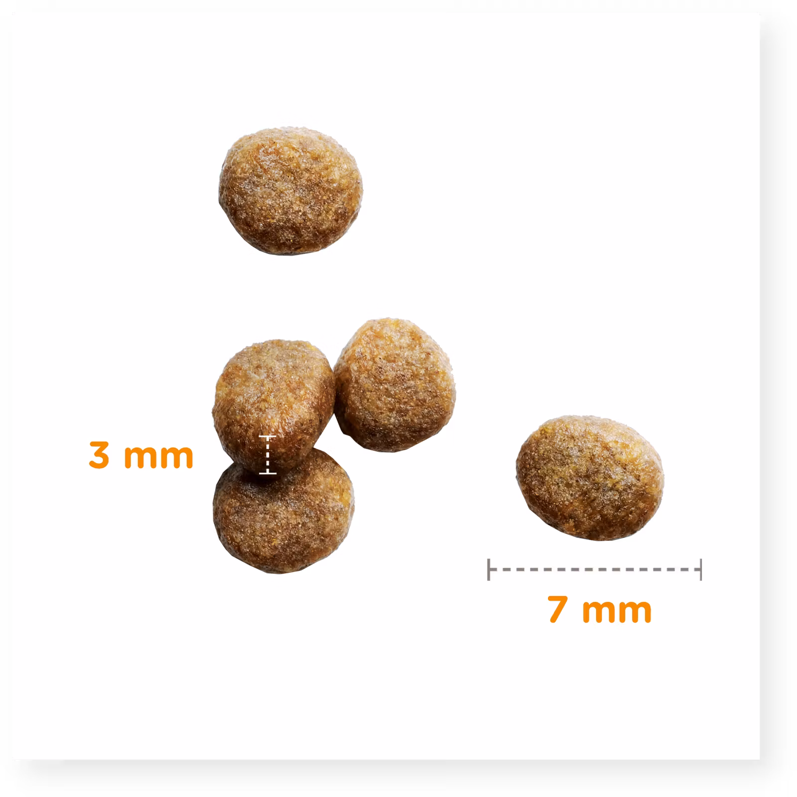 IAMS Cat for Vitality Kitten 1-12 mån. Färsk kyckling 10 kg