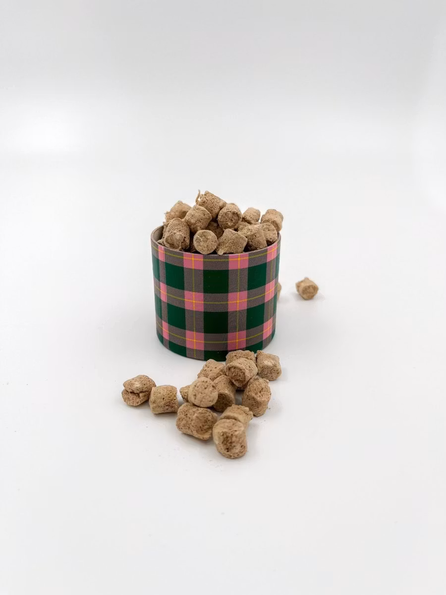 Raw for Paw Wild Duck- Vildand Frystorkat hundgodis 45 gram