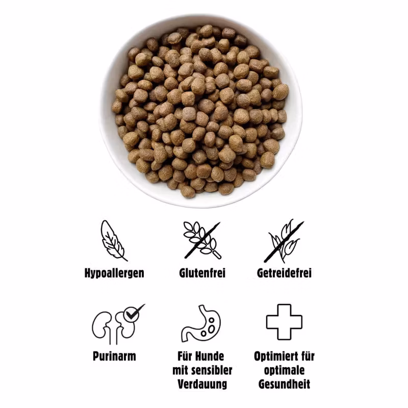 Eat Small Balance, insektsbaserat hundfoder 150 gr/2 kg/10 kg