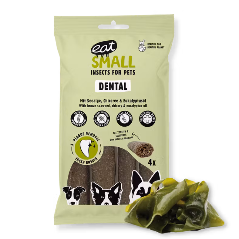 Eat small Dental: Insektstuggben 120 gr/4 styck