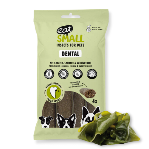 Eat small Dental: Insektstuggben 120 gr/4 styck
