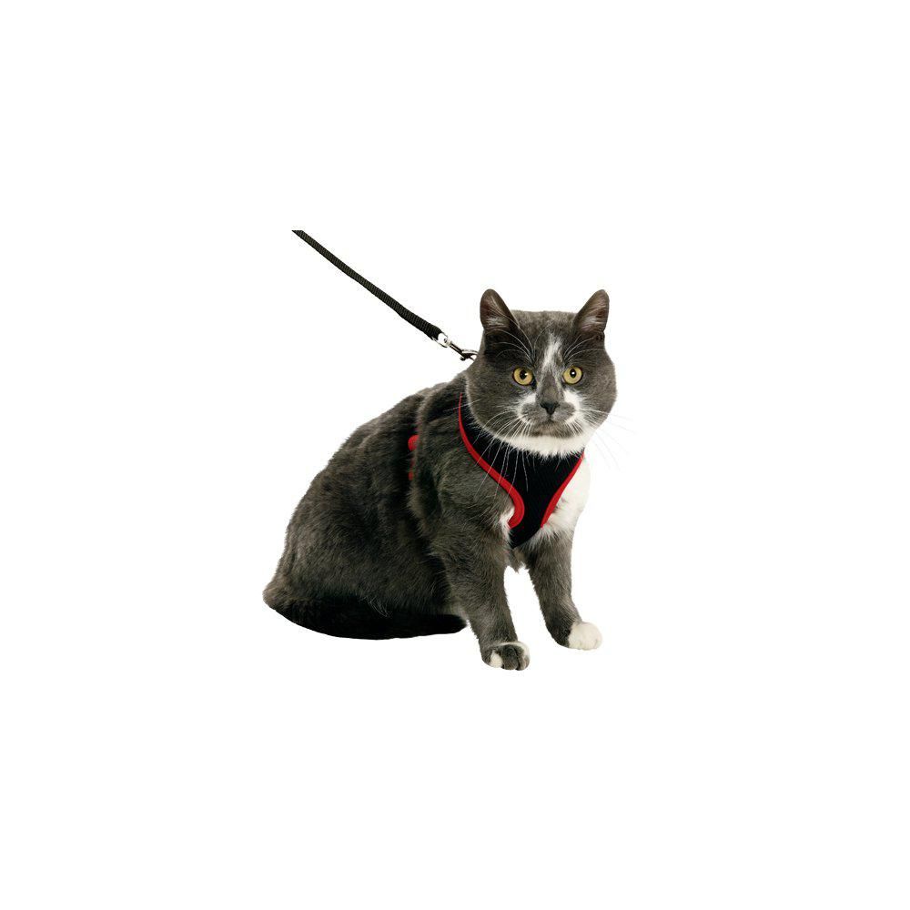 Kattsele Nät Med Koppel Kattunge S Svart/röd 10mmx108cm