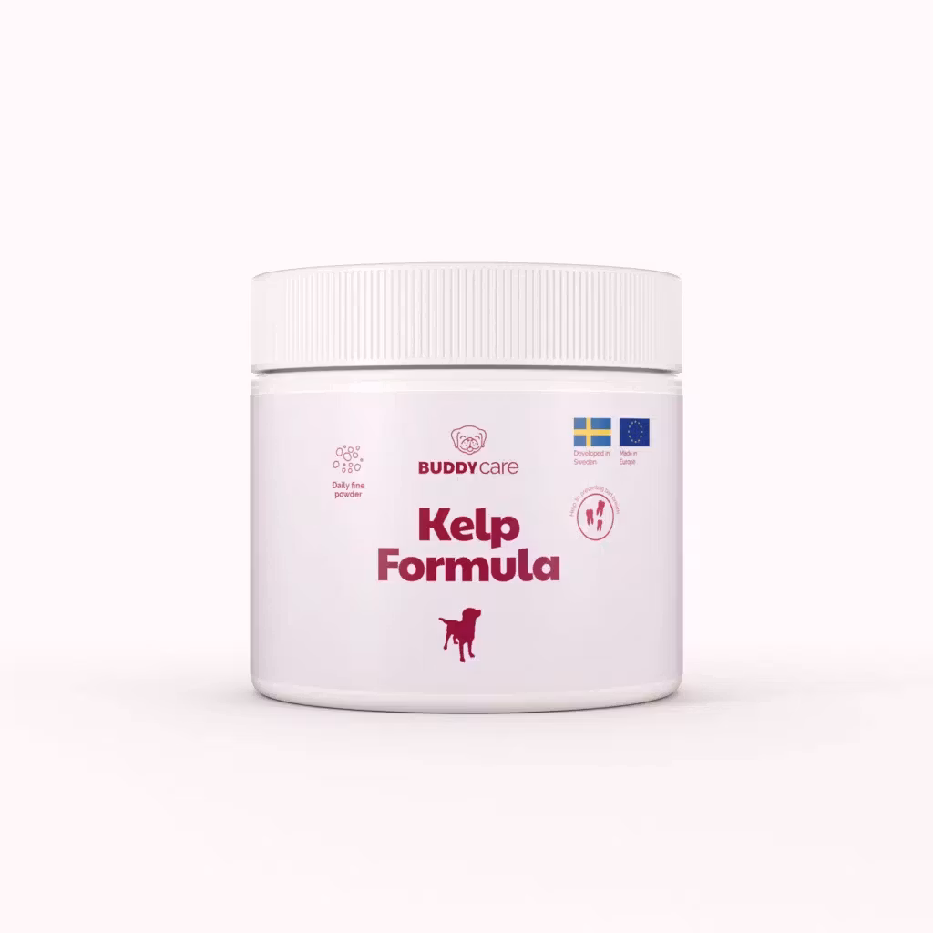 Buddycare Kelp Formula  250ml