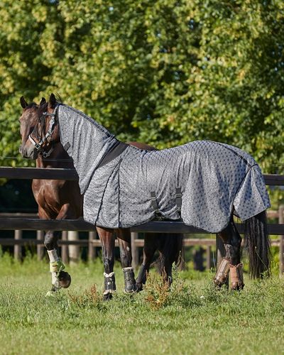 HorseGuard Madison Flugtäcke Svart stl 145