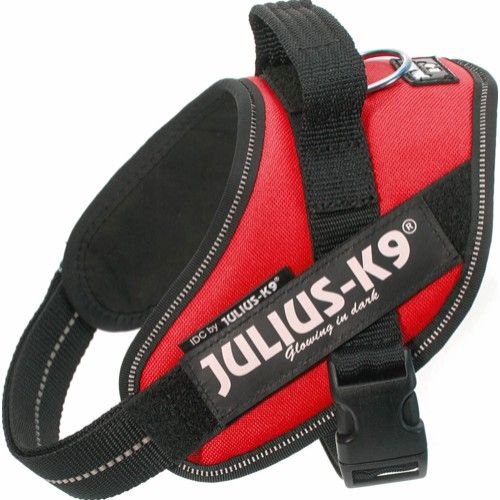 Julius-K9® IDC sele, Mini, Röd 49-67 cm, ca 7-15 kg