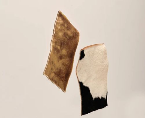 Njord nötchips ca 15 x 8 cm- 100% svenska råvaror