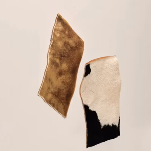 Njord nötchips ca 15 x 8 cm- 100% svenska råvaror