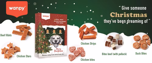 Wanpy Christmas Julkalender
