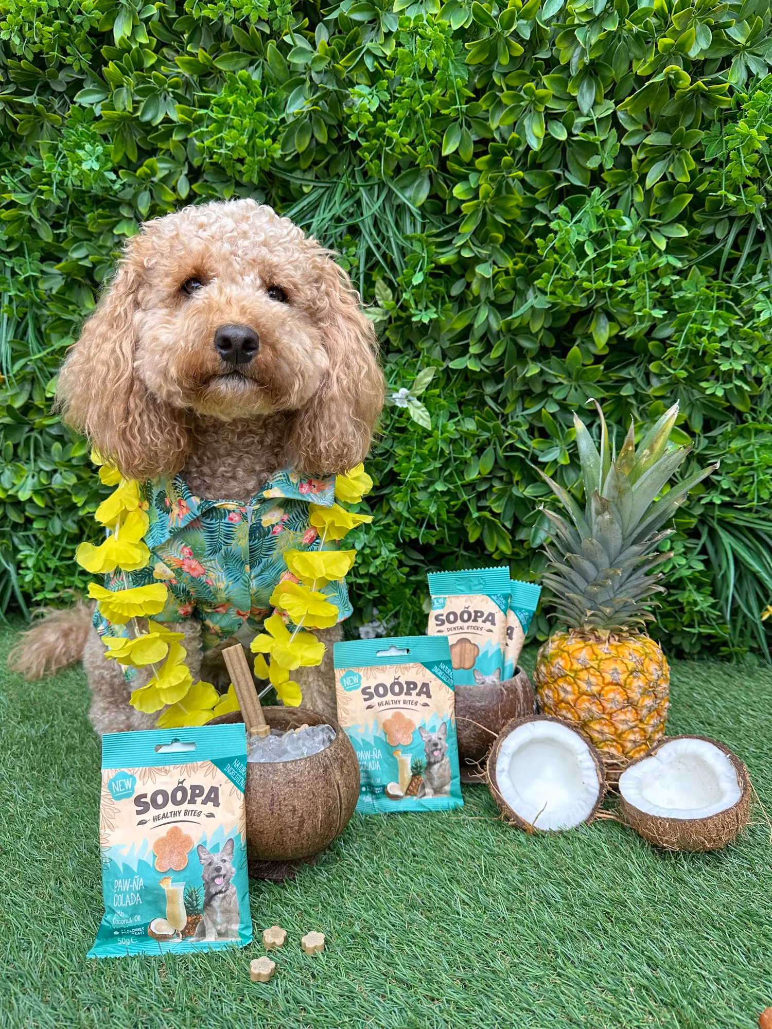 Soopa Healthy Bites Paw-Na Colada 50g (ananas & kokos), veganskt