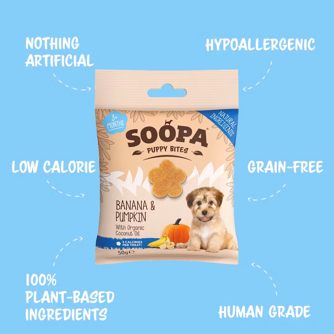 Soopa Healthy Training Bites for Puppies Banana & Pumpkin (banan & pumpa) , veganskt 50g
