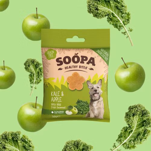 Soopa Healthy Bites Kale & Apple (kål & äpple) veganskt 50g