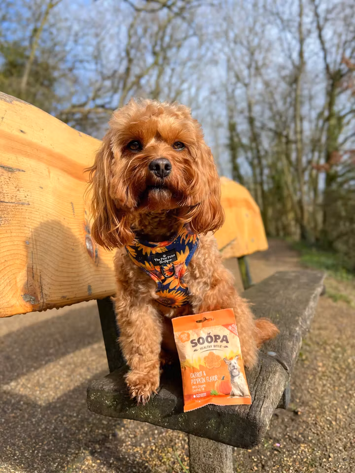 Soopa Healthy Bites Carrot & Pumpkin (morot & pumpa), veganskt  50g