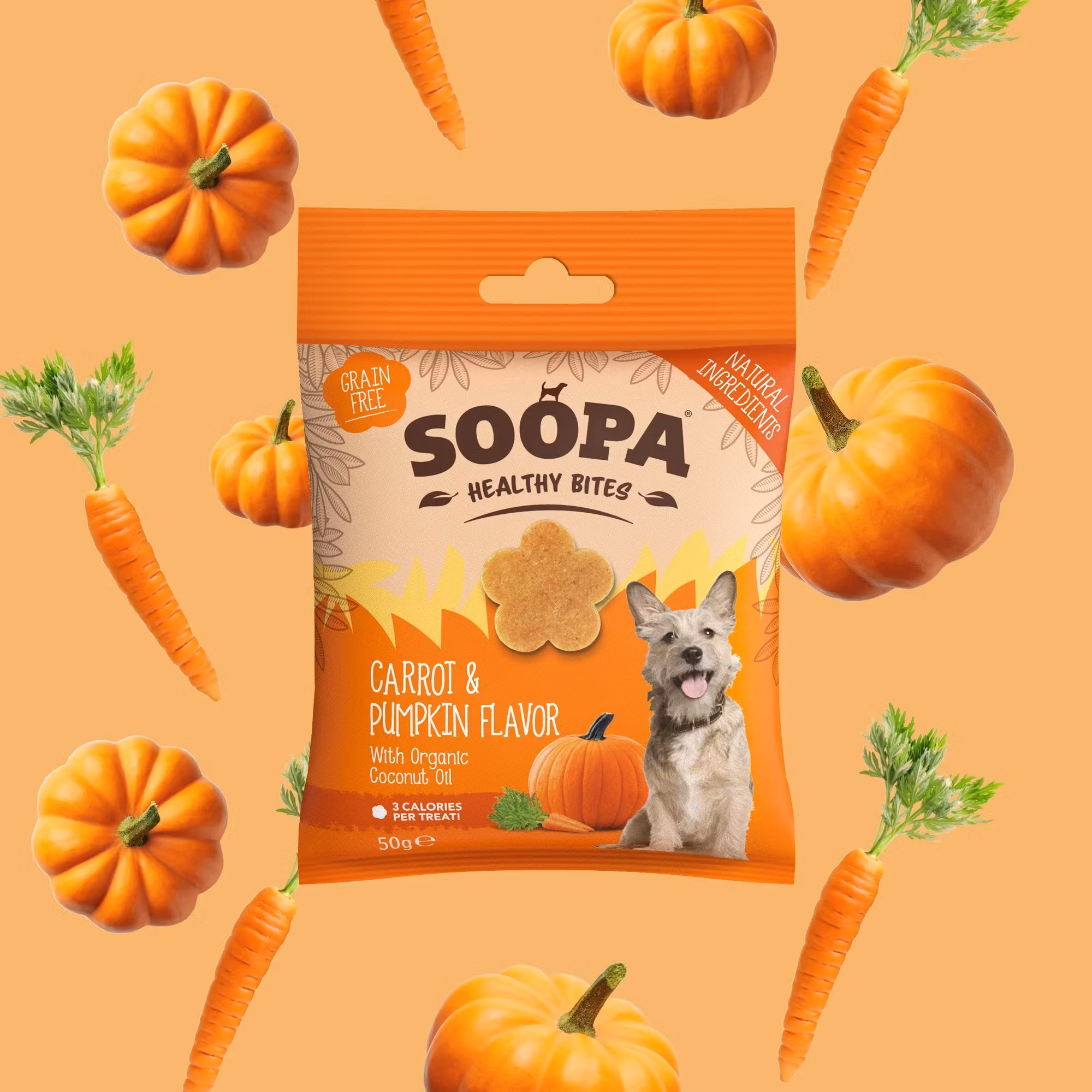 Soopa Healthy Bites Carrot & Pumpkin (morot & pumpa), veganskt  50g