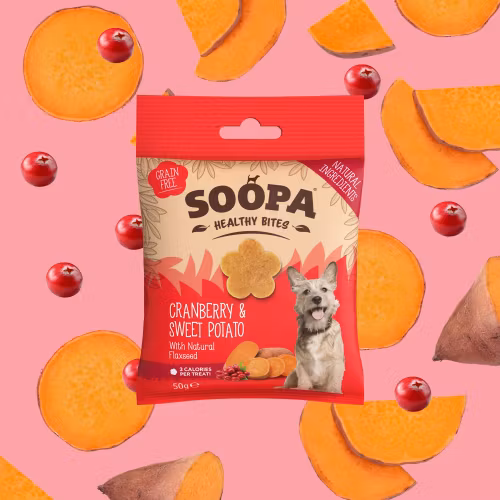 Soopa Healthy Bites Cranberry & Sweet Potato (tranbär & sötpotatis), veganskt  50g