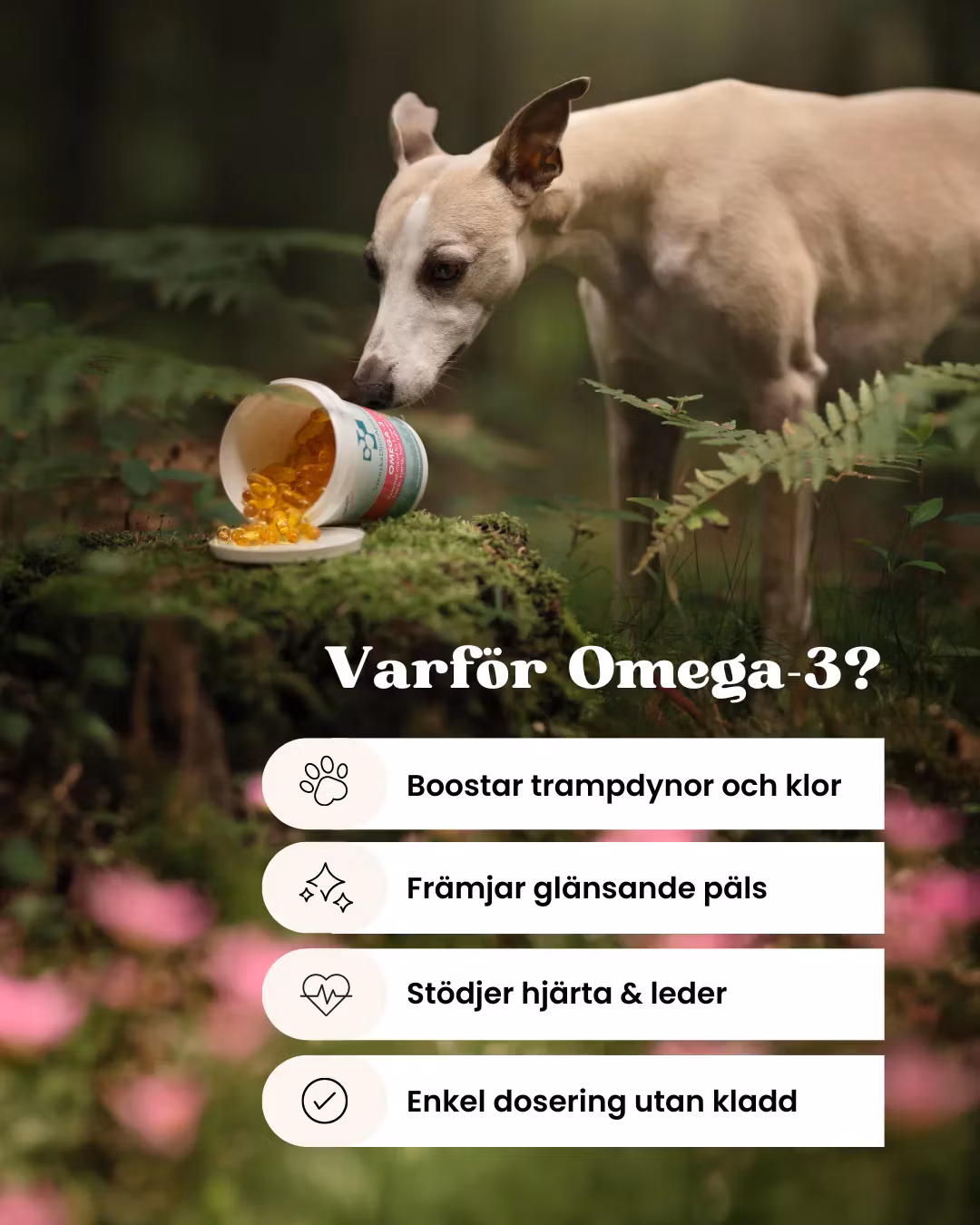Svenska DjurApotekets Omega3 180 softgel kapslar