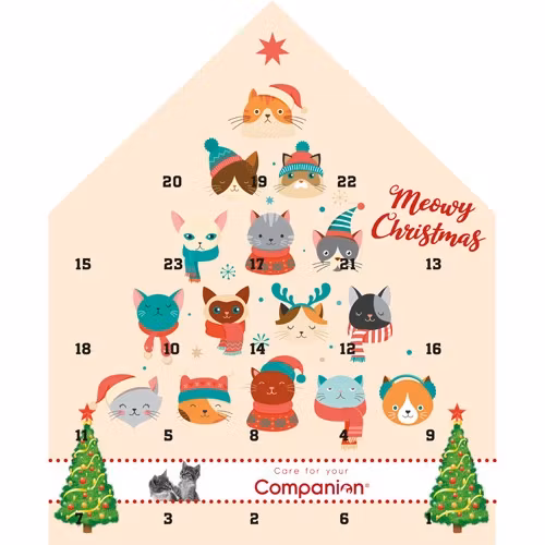Companion Julens adventskalender Katt 100 g