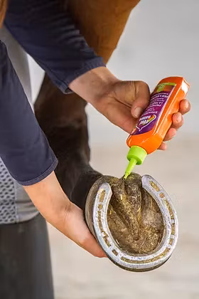 Equinatura Frog & Sole Protect  250 ml