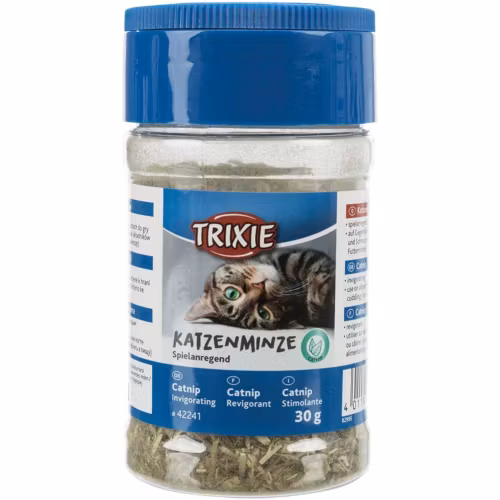 Kattmynta/Catnip i burk, 30 g