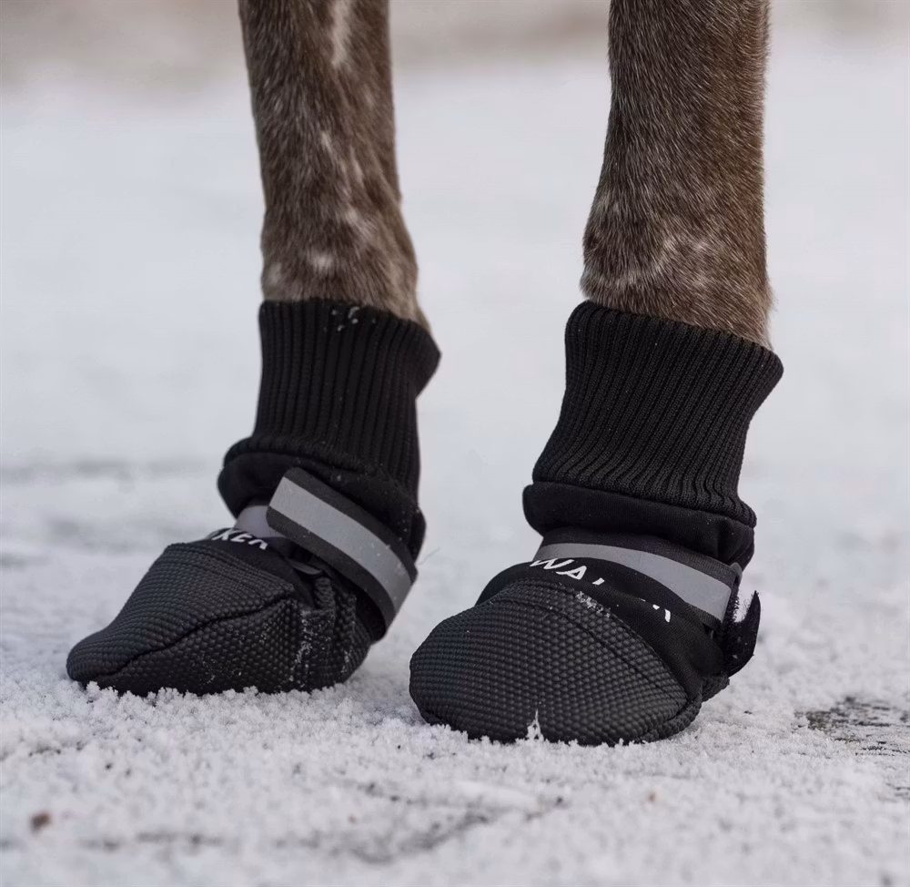 Hundskor Walker Comfort 2-pack, svart
