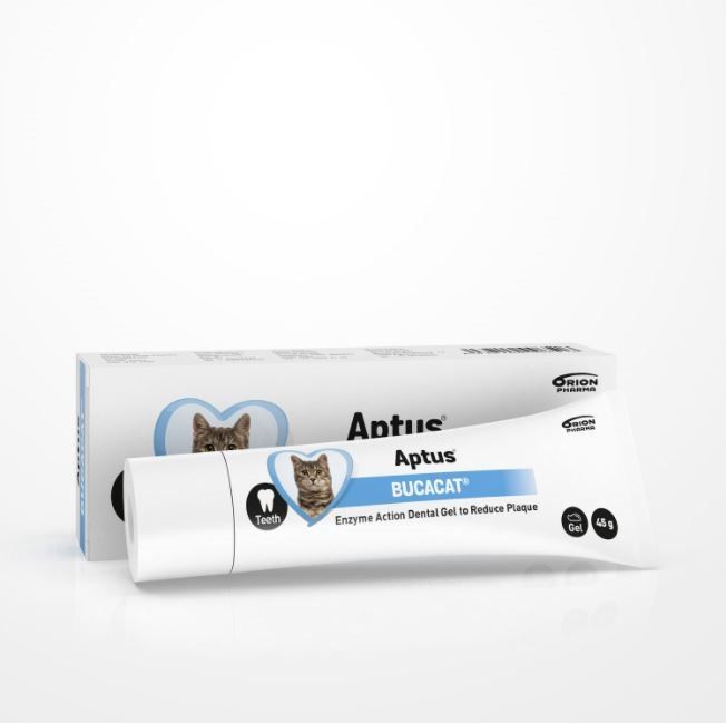 Aptus® Bucacat - Tandgel 45 g